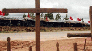 mortes-no-campo-300x168.gif