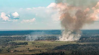 fogo.jpg