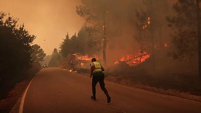 incendioflorestal-1.jpg