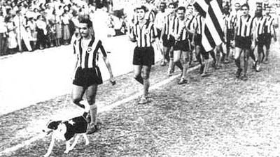 cachorrobotafogo.jpg