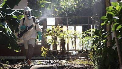 dengue.jpg