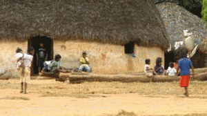 indio-300x168.gif