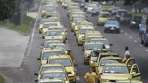 taxis-manifesta1-300x168.gif