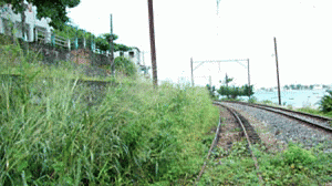 via-ferroviaria-salvador-300x168.gif