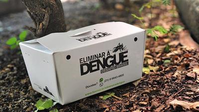 dengue.jpg