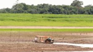 seca-amaz-300x168.gif