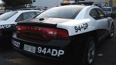 policiario.jpg