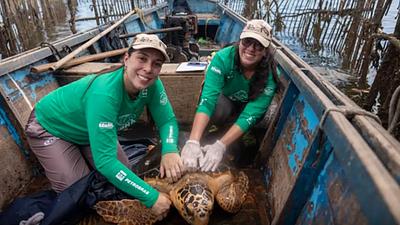 tartaruga.jpg