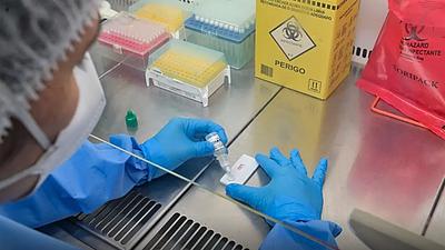hantavirus-3.jpg
