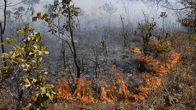 queimada1.gif