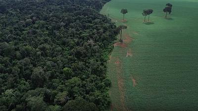 meioambiente-2.jpg