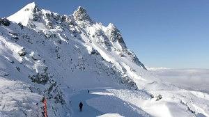 davos-300x168.jpg