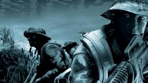 seals-300x169.jpg