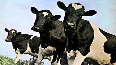 atom-heart-mother.jpg