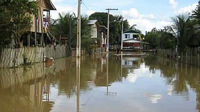 Amazonas-ABR.jpg