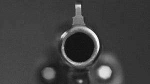 arma1-300x168.gif