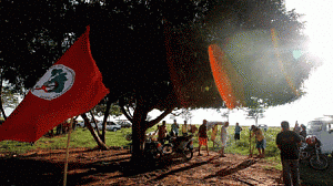 mst-300x168.gif