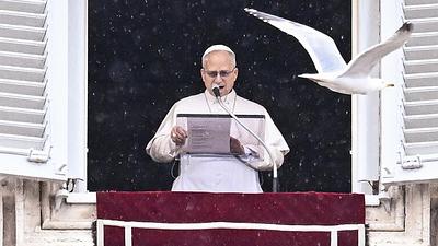 PAPA-4.jpg