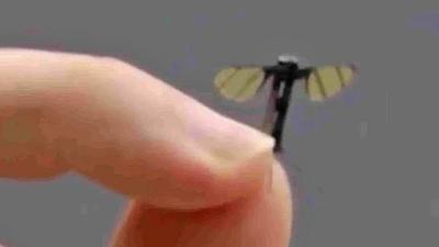dronechina.jpg