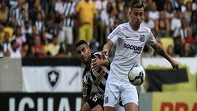botafogocampeonato.jpg