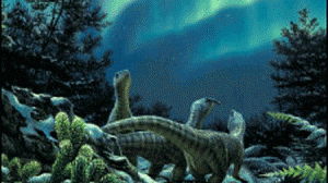 antartica1-300x168.gif