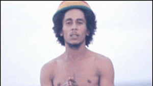 marley-300x168.gif