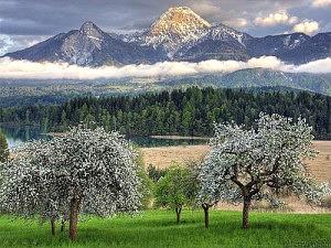 foto-europa-primavera-300x225.jpg