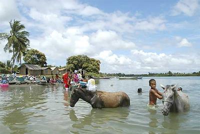 rio-sao-francisco.jpg