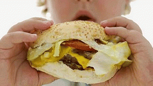 alimentacao-300x168.gif