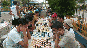 xadrez-300x168.gif