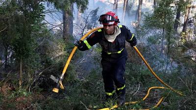 incendioflorestal.jpg