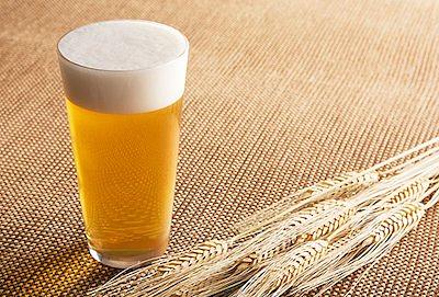 cervejaproducao.jpg