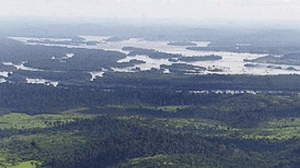 rioxingu-300x168.gif