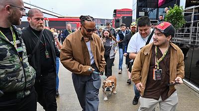 hamilton-2.jpg
