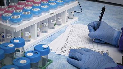 zika-5.jpg
