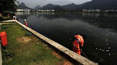 peixemortos.jpg