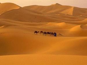ZZZ-ZLenda-Arabe-300x225.jpg