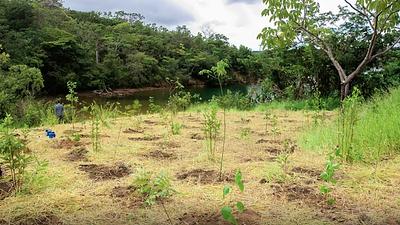 territoriosmeioambiente.jpg