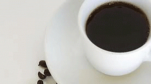 cafe-300x168.gif