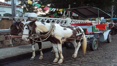 charretes.jpg