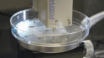 saude8.jpg