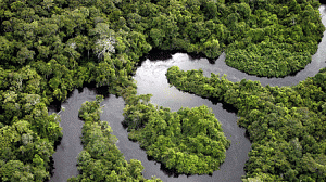 floresta-amazonica-bioma-300x168.gif