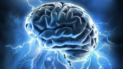 cerebro.jpg