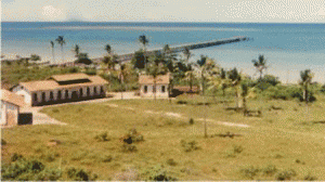 mansao_300x94-300x168.gif