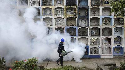 zika-3.jpg