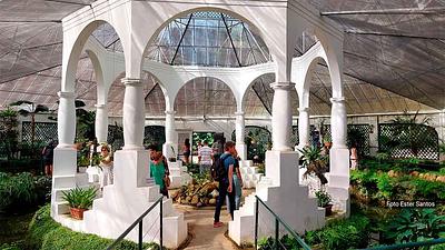 jardim-botanico.jpg