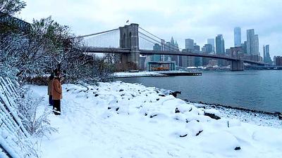 neve-ny.jpg