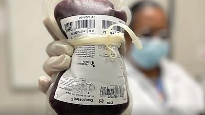 sangue.jpg