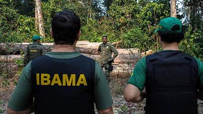 ibama.jpg