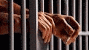 presos-300x168.gif